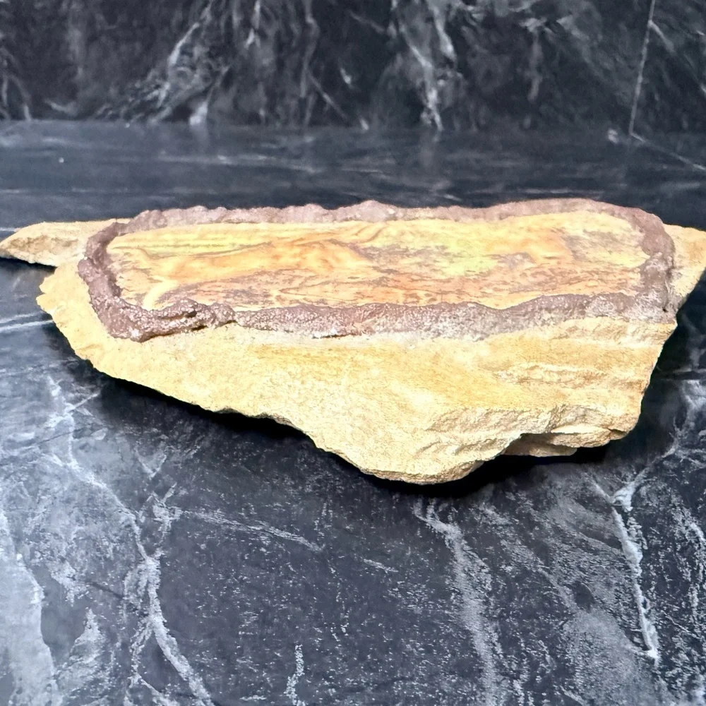 Decorative Rock with White-Tailed Deer Bucks